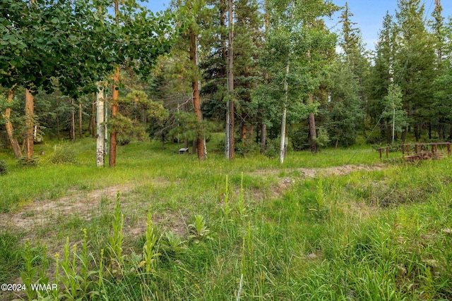 21 County Road 2043, Alpine, AZ 85920 - photo 35