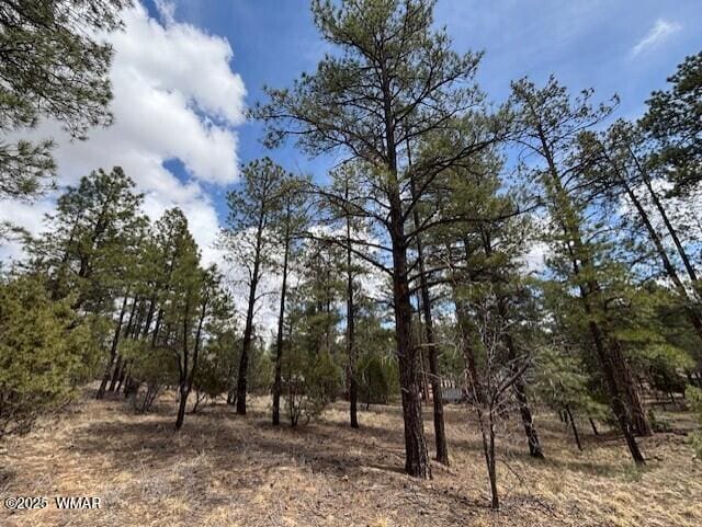 3260 W Black Oak Loop, Show Low, AZ 85901 - photo 4