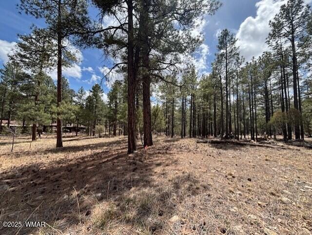 3260 W Black Oak Loop, Show Low, AZ 85901 - photo 7