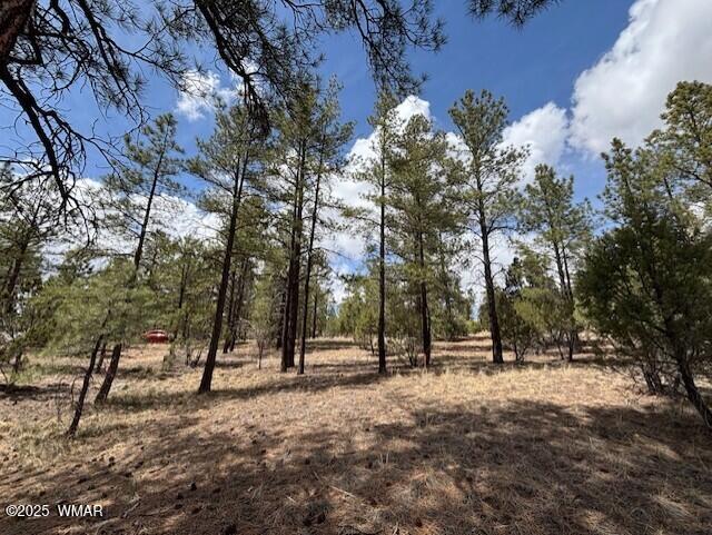 3260 W Black Oak Loop, Show Low, AZ 85901 - photo 6