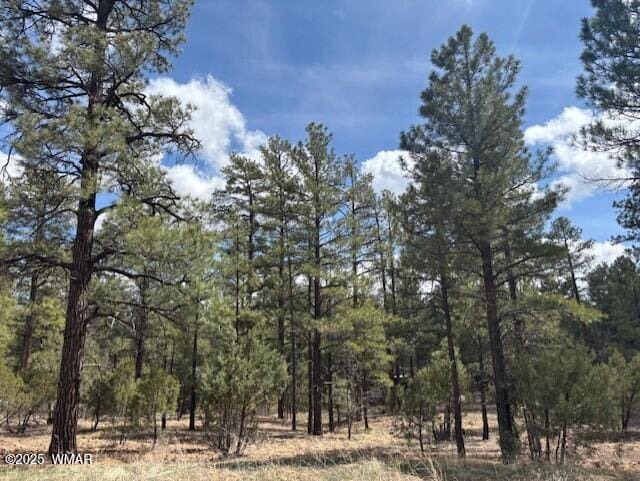 3260 W Black Oak Loop, Show Low, AZ 85901 - photo 2