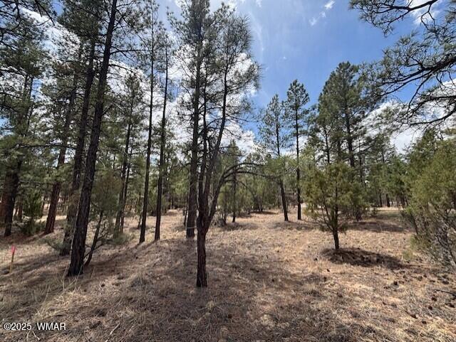 3260 W Black Oak Loop, Show Low, AZ 85901 - photo 5