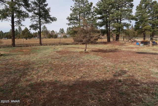 1888 Meadow St, Lakeside, AZ 85929 - view of yard with fence