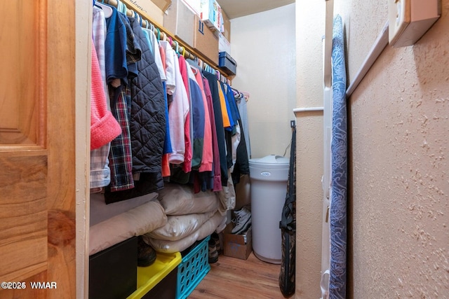 1888 Meadow St, Lakeside, AZ 85929 - walk in closet with wood finished floors