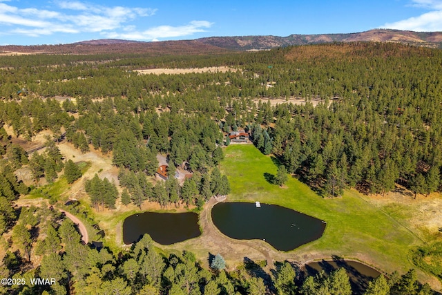 38684 State Route 373, Greer, AZ 85927 - aerial view of property and surrounding area with a heavily wooded area and a water and mountain view