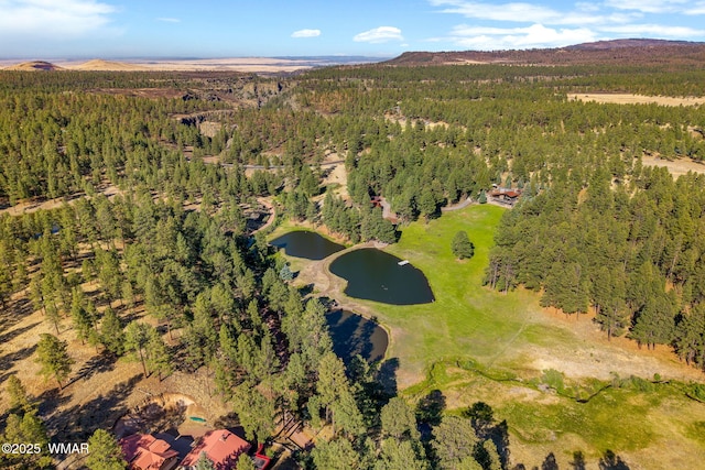 38684 State Route 373, Greer, AZ 85927 - bird's eye view of a forest and a water and mountain view