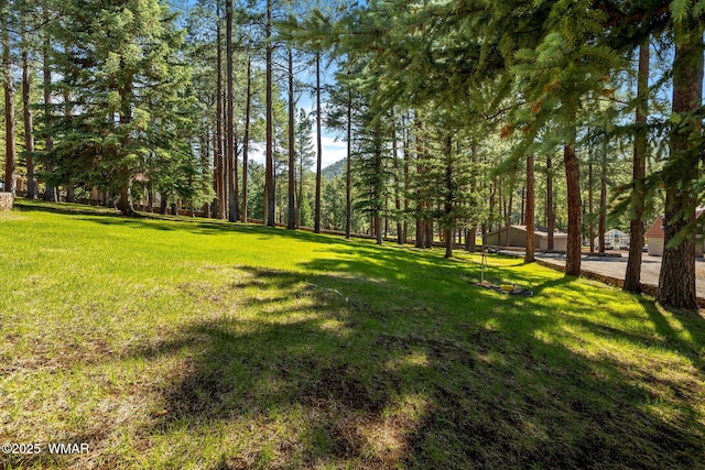 38684 State Route 373, Greer, AZ 85927 - view of grassy yard