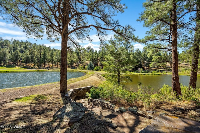 38684 State Route 373, Greer, AZ 85927 - water view