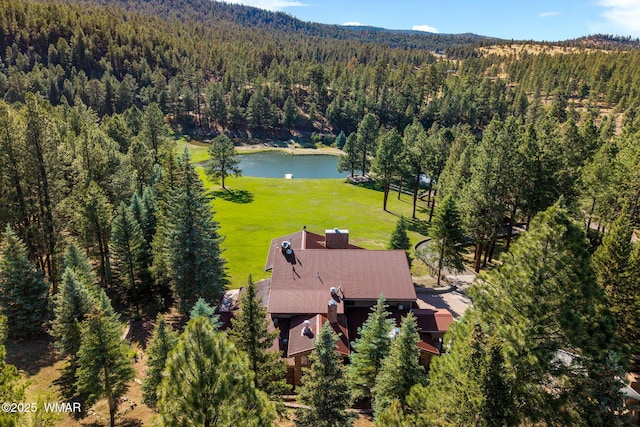 38684 State Route 373, Greer, AZ 85927 - aerial view of property and surrounding area featuring a forest and a nearby body of water