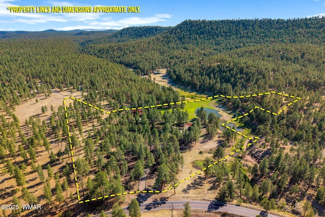 38684 State Route 373, Greer, AZ 85927 - aerial view of property's location with property parcel outlined and a water and mountain view