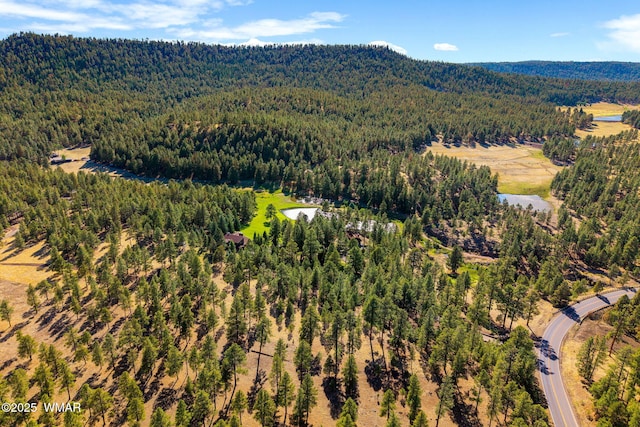 38684 State Route 373, Greer, AZ 85927 - aerial view of a forest and a mountainous background