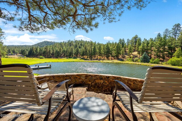 38684 State Route 373, Greer, AZ 85927 - exterior space with a wooded view and a water view