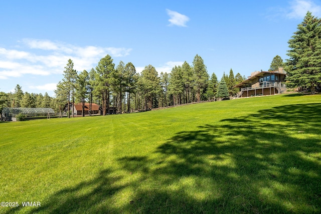 38684 State Route 373, Greer, AZ 85927 - view of green lawn