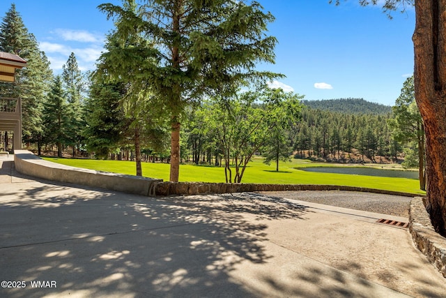 38684 State Route 373, Greer, AZ 85927 - view of property's community featuring a lawn and a water view
