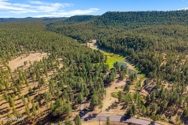 38684 State Route 373, Greer, AZ 85927 - aerial overview of property's location featuring a forest and a water and mountain view