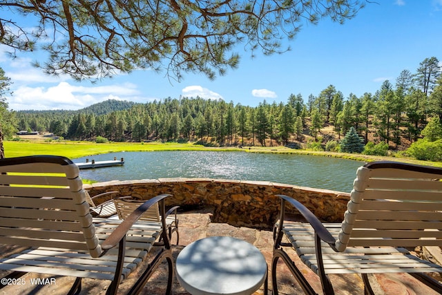 38684 State Route 373, Greer, AZ 85927 - exterior space with a wooded view and a water view