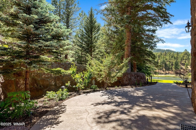 38684 State Route 373, Greer, AZ 85927 - view of patio with a wooded view