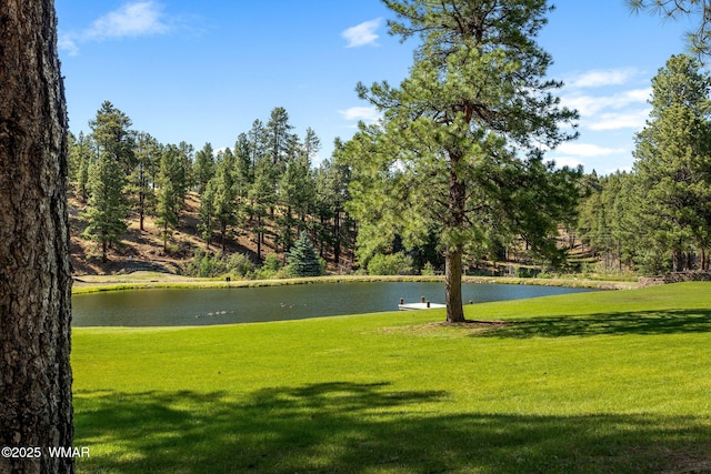 38684 State Route 373, Greer, AZ 85927 - view of property's community with a water view and a yard
