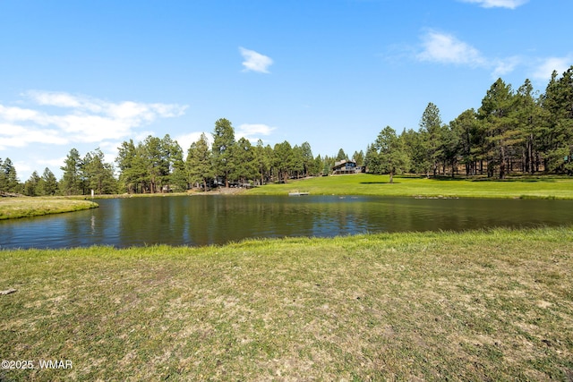 38684 State Route 373, Greer, AZ 85927 - water view