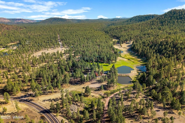 38684 State Route 373, Greer, AZ 85927 - view of property location featuring a forest and a water and mountain view