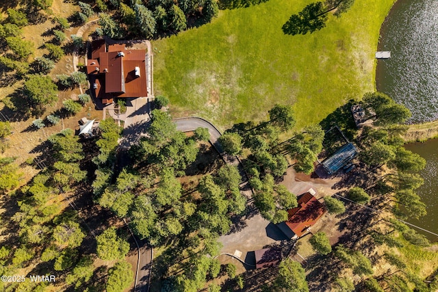 38684 State Route 373, Greer, AZ 85927 - drone / aerial view of a large body of water