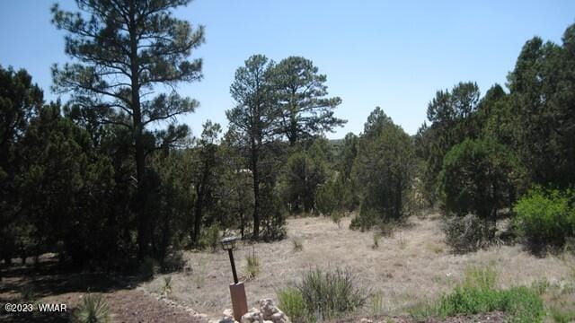 2223 Fairway Dr, Overgaard AZ, 85933 land for sale