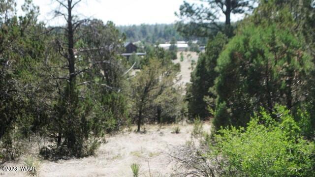 Listing photo 3 for 2223 Fairway Dr, Overgaard AZ 85933