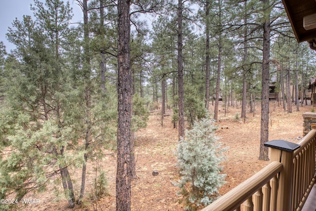 3240 W Black Oak Loop, Show Low, AZ 85901 - view of yard