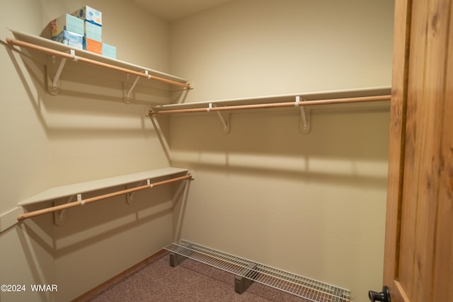 3240 W Black Oak Loop, Show Low, AZ 85901 - spacious closet with carpet flooring
