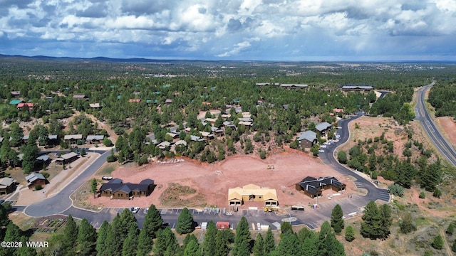 4696 W Tatanka Loop, Show Low, AZ 85901 - aerial view of property and surrounding area