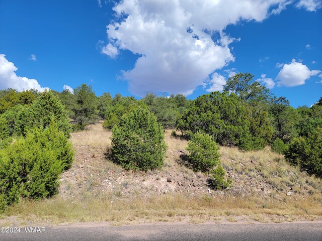 LOT11 S Spruce St, Eagar AZ, 85925 land for sale