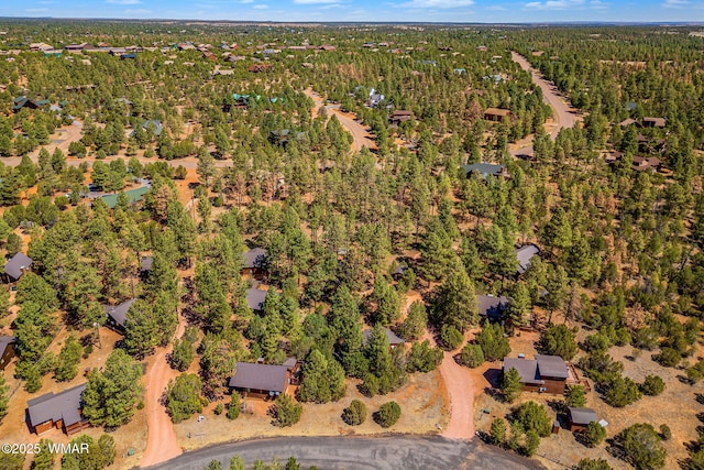 2758 Elk Trail Rd, Overgaard, AZ 85933 - photo 30