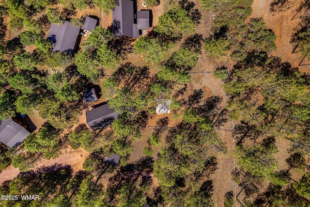 2758 Elk Trail Rd, Overgaard, AZ 85933 - photo 28