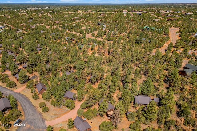 2758 Elk Trail Rd, Overgaard, AZ 85933 - photo 29