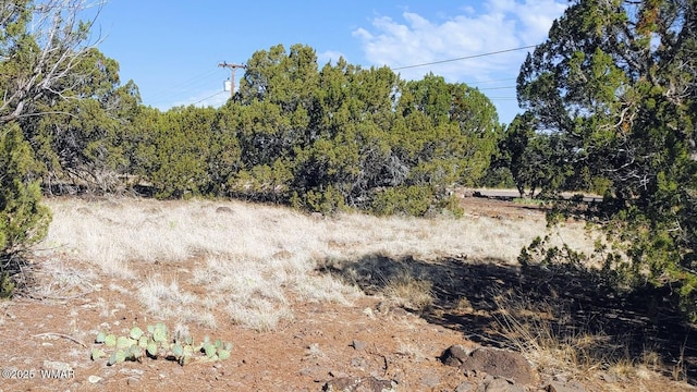 1799 Scott Pl, Show Low, AZ 85901
