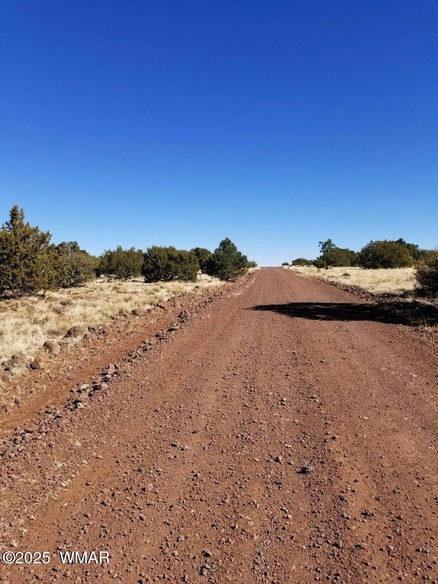 29 County Road 8069, Concho, AZ 85924 - photo 3