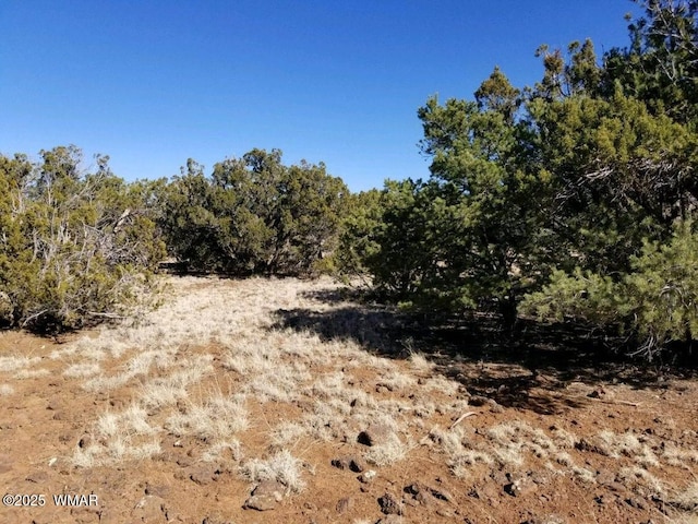 29 County Road 8069, Concho, AZ 85924 - photo 2