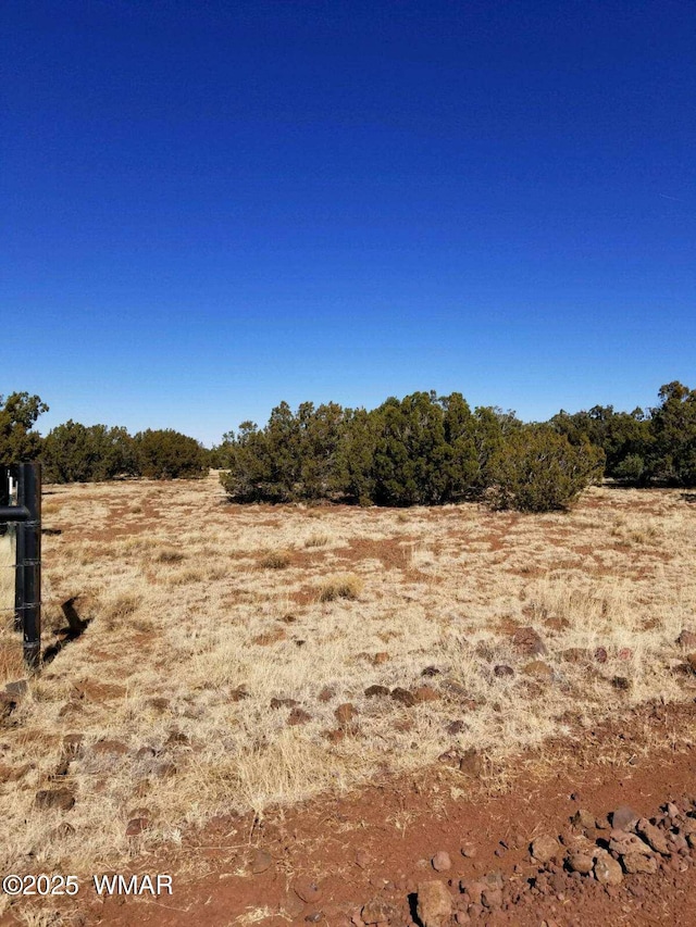 29 County Road 8069, Concho, AZ 85924 - photo 5