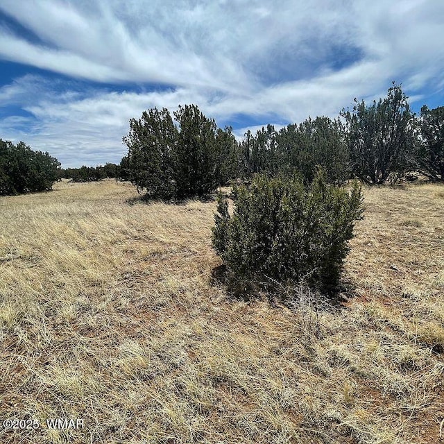 29 County Road 8069, Concho, AZ 85924 - photo 1