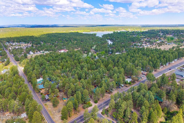 24 N Woodland Rd, Lakeside, AZ 85929 - photo 33