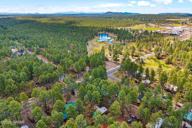 24 N Woodland Rd, Lakeside, AZ 85929 - photo 35