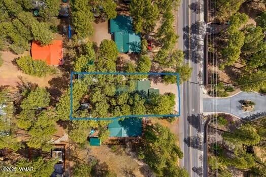 24 N Woodland Rd, Lakeside, AZ 85929 - photo 31
