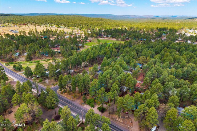 24 N Woodland Rd, Lakeside, AZ 85929 - photo 34