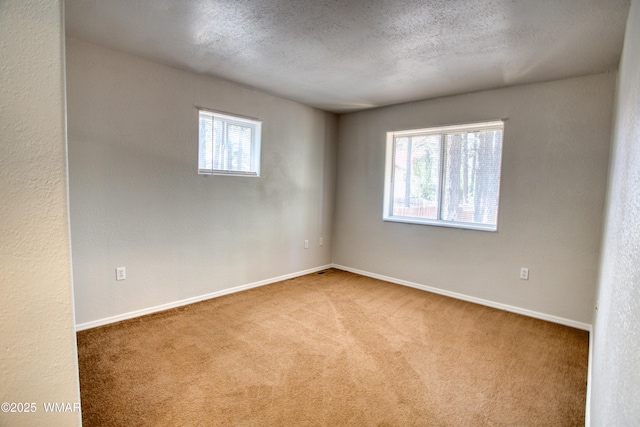 880 N 46th Dr, Show Low, AZ 85901 - carpeted empty room featuring baseboards and a textured ceiling