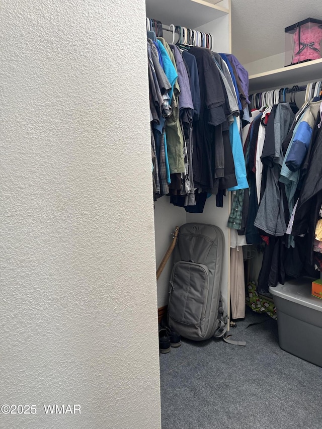 8515 Pueblo Ln, Snowflake, AZ 85937 - spacious closet featuring carpet floors
