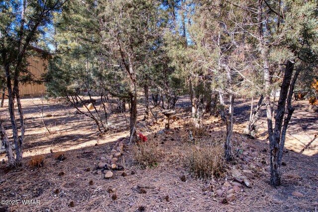 811 S Rockcress Ln, Show Low, AZ 85901 - view of nature