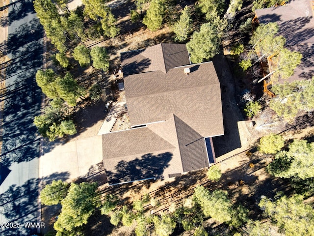 811 S Rockcress Ln, Show Low, AZ 85901 - view from above of property