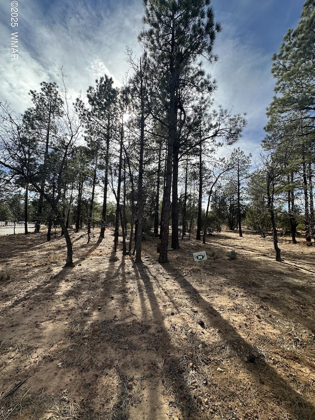 4981 Silver Mountain Dr, Lakeside AZ, 85929 land for sale