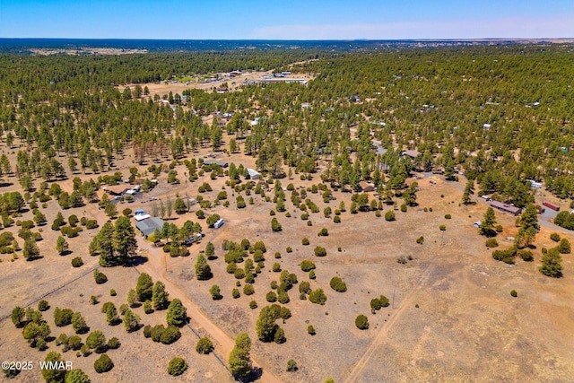 2821 Kelton Cir, Overgaard, AZ 85933