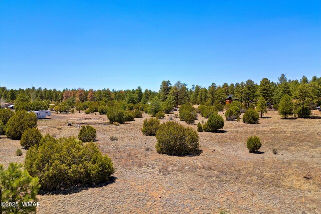 2821 Kelton Cir, Overgaard, AZ 85933